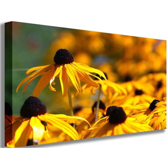 Arena "Big Brother" Canvas Print
