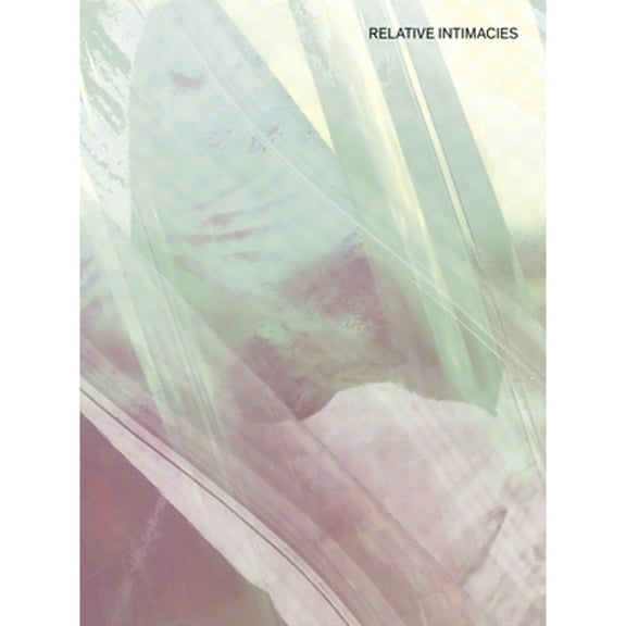 Pre-Owned Relative Intimacies: Intersubjectivity, Volume 3 (Paperback) by Lou Cantor, Emily Watlington