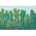 thumbnail image 2 of OToole, Tim 14x11 Black Ornate Wood Framed with Double Matting Museum Art Print Titled - Forest Green II, 2 of 4