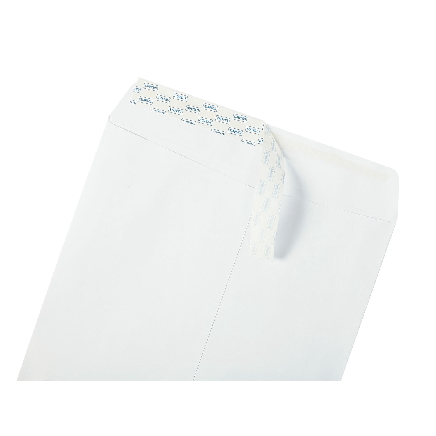 Staples EasyClose Catalog Envelopes 9"L x 12"H White 100/Box (379479/19026)