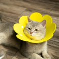 thumbnail image 5 of Collar for Cat Dog Cone Collar Anti-Bite Protection Cone Collars Dog Puppy Cat Injury Collar Adjustable Neck Cone Protector EVA Yellow M, 5 of 5