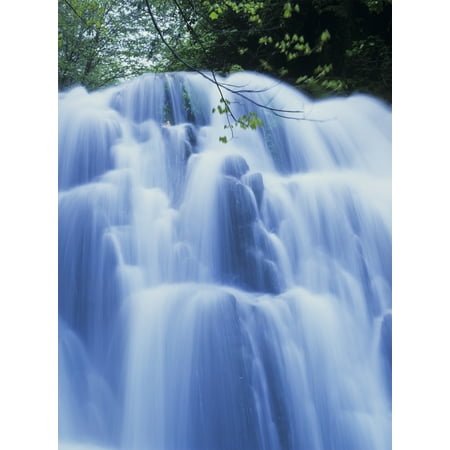 Home Sweet Home Two States Sweet Creek waterfalls along the hiking trail Mapleton Oregon United States of America Poster Print by Robert L Potts Design Pics ()