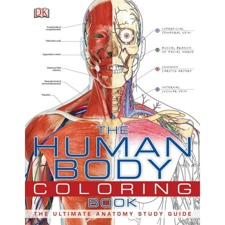 The Human Body Coloring Book : The Ultimate Anatomy Study (Best Way To Study Anatomy)