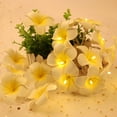 thumbnail image 5 of GadgetVLot Led Decorative Light String Wedding Party Decoration Imitation Frangipani Fairy String Lights, 5 of 15