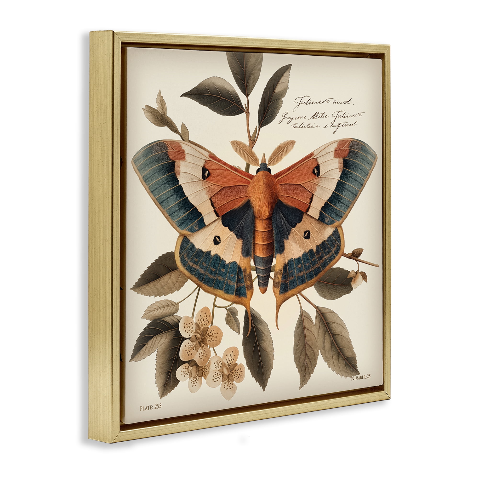 Stupell Industries Enchanting Moth & Plant Animals Painting Gold Floater Framed Canvas Art Print Wall Art, 18 x 18