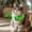 A Green, variant on Halloween Cat Muscle Arms 3D Printed Arms Pet Accessory Lightweight Neck Hanging Costume Outfit, Hilarious Photo Props for Cats A Green