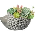 thumbnail image 3 of Classic Home and Garden Cement Buddies Indoor/Outdoor Planter with Drainage Hole — Large Hedgehog, Natural Gray, 7", 3 of 5