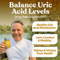 thumbnail image 3 of Eu Natural Purge Uric Acid Flush – Celery Seed Extract, Tart Cherry & Chanca Piedra for Joint Support & Mobility – 60 Veg Capsules, 3 of 10