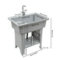 Goudergo Freestanding Plastic Laundry Sink with Washboard, Indoor
