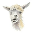 thumbnail image 2 of Loreth, Lanie 15x15 White Modern Wood Framed Museum Art Print Titled - Talking Llama, 2 of 4