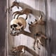 thumbnail image 2 of Colgador de Pared Mano Espeluznante JanHm Decoración Halloween Resina, 2 of 4