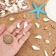 thumbnail image 3 of 100 piezas de 4 estilos de dijes de concha natural, colgantes de concha marina, eslabones para collares, pulseras, fabricación de joyas, conector de concha de caracola, dije de mar de verano, 3 of 6