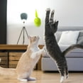 thumbnail image 4 of KMWGRE Interactive Cat Toy with Squeaker and Bouncing Action for Exercise and B 5cm, 4 of 8