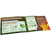 Smart Lab Toys - Outdoor Science Lab