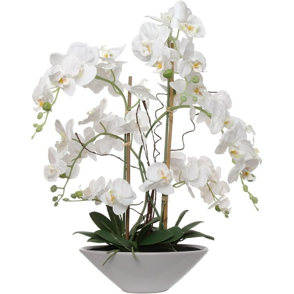 23"x16" White Phalaenopsis Orchid Arrangement – 6 Stems, 11-Inch Blooms for Home, Office & Event Décor