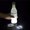 White, variant on LED Coaster, LED Bottle Lights Cup Holder Lights LED Sticker Coaster Lights Light Up Coasters, LED Bottle Light, Bottle Glorifier, LED Stickers Coaster Light Up for Drinks