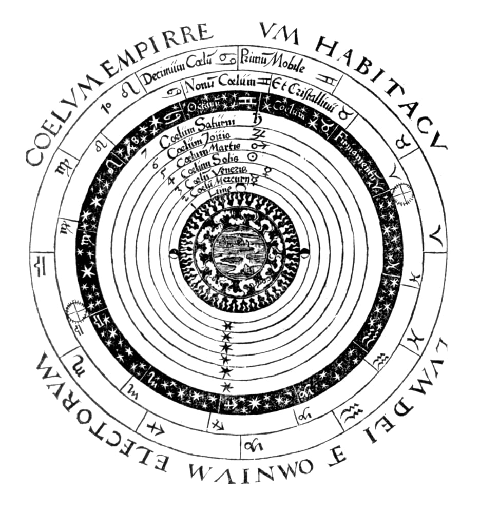 petrus rabbit feed near me