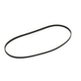 thumbnail image 2 of Middleby 66382 Belt Poly-V Jason 370, 2 of 4
