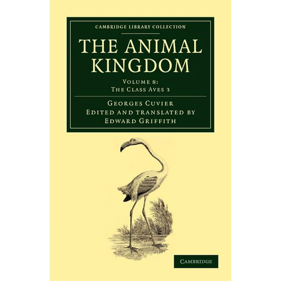 The Animal Kingdom - Volume 8, (Paperback)