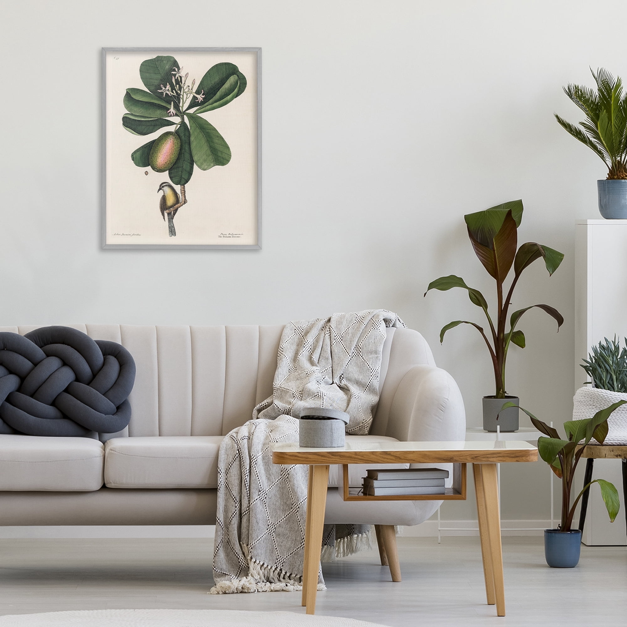 Stupell Industries Catesby Flora & Fauna Gray Framed Giclee Art, design by Print Collection