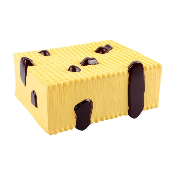 Modelo de estructura de de células de enseñanza de experimentos de biología Modelo de células para la escuela secundaria