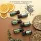 thumbnail image 4 of Kit de Cera para Velas de Soya Hearth & Harbor 4.5 kg en Escamas Naturales, 4 of 7