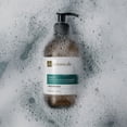 thumbnail image 3 of Dr Botanicals Gingerlily Antibacterial Hand  Face Cleansing Wash 500ml, 3 of 5