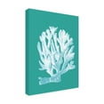 thumbnail image 2 of Trademark Fine Art 'Coral 1 White On Turquoise' Canvas Art by Fab Funky, 2 of 3