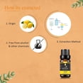 thumbnail image 3 of KRIAA Goodness Lemon Essential Oil 10ml with Dropper, 3 of 6