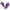 Purple, variant on Tvtaop Women Sport Shoes Casual Atheltic Running Walking Shoes Fashion Sneakers