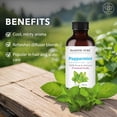 thumbnail image 2 of Majestic Pure Peppermint Essential Oil, Premium Grade, Pure and Natural, for Aromatherapy, Massage, Topical & Household Uses, 1 fl oz, 2 of 9