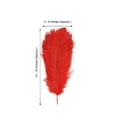 thumbnail image 3 of Efavormart 12 Pack | 13"-15" Red Natural Plume Real Ostrich Feathers Vase Centerpiece, 3 of 10