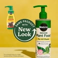 thumbnail image 3 of Miracle-Gro Indoor Plant Food for All Plants, Liquid Plant Food, 8 fl. oz., 3 of 11