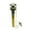 Chrome Finish, variant on Brass, Lavatory Drain, Pull-Out Lavatory Drain CC1001