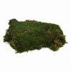 8 oz Green Moss Sheet Bag