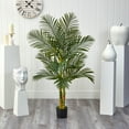 thumbnail image 5 of Nearly Natural 5ft. Golden Cane Artificial Palm Tree, Green, 5 of 6