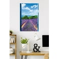 thumbnail image 3 of Lavender Field Wall Poster, 22.375" x 34", 3 of 4