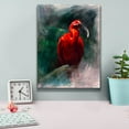 thumbnail image 4 of Epic Graffiti 'Scarlet Ibis' by Robert Campbell, Canvas Wall Art, 12"x16", 4 of 8