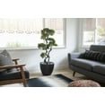 thumbnail image 2 of Vintage Home Artificial Faux Real Touch 4.92 Feet Tall Bonsai Tree With Fiberstone Planter, 2 of 2
