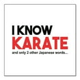 thumbnail image 1 of DistinctInk Custom Bumper Sticker - 6" x 6" Decorative Decal - White Background - I Know Karate and Only 2 Other Japanese Words, 1 of 2