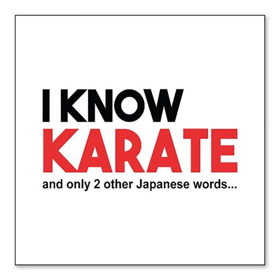 DistinctInk Custom Bumper Sticker - 3" x 3" Decorative Decal - White Background - I Know Karate and Only 2 Other Japanese Words