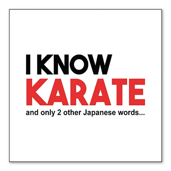 DistinctInk Custom Bumper Sticker - 6" x 6" Decorative Decal - White Background - I Know Karate and Only 2 Other Japanese Words