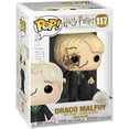 thumbnail image 1 of Funko Pop! Harry Potter Harry Potter Malefoy avec Fouet Araignée, 1 of 4
