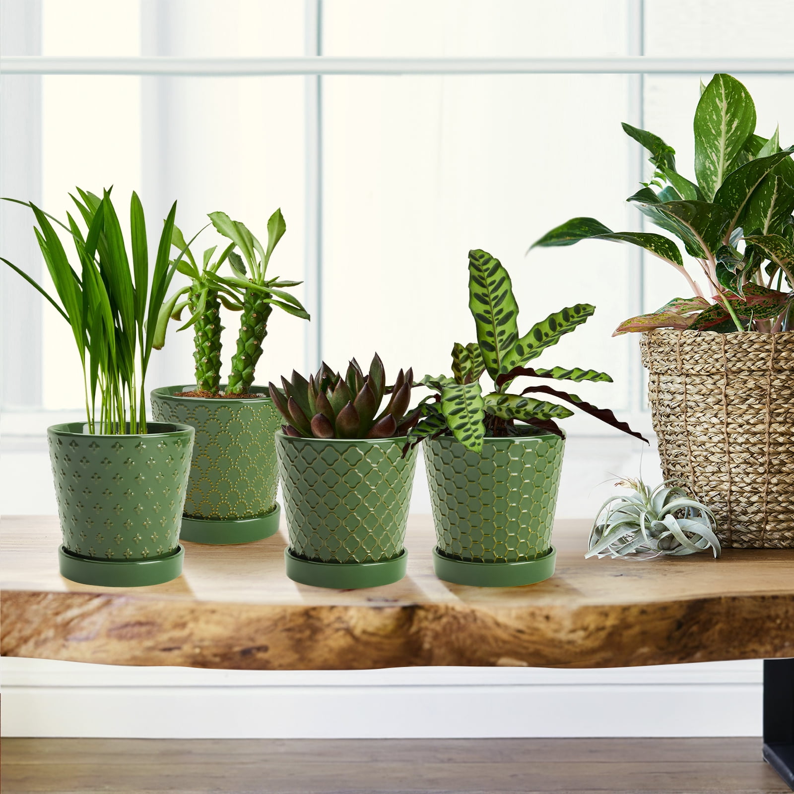BUYMAX 5 inch Blackish Green Ceramic Indoor Plant Pots with Drainage Holes and Tray, Relief Design, Set of 4, Modern Minimalist Decor