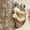 brown, variant on Kumdkd Peeking Frog Tree Ornament, Resin Garden Decor with Realistic Bark Texture, 3.54x1.77x1.57in Weatherproof Hanging Decoration for Patio, Fence, Fairy Garden & Outdoor Whimsical Decor