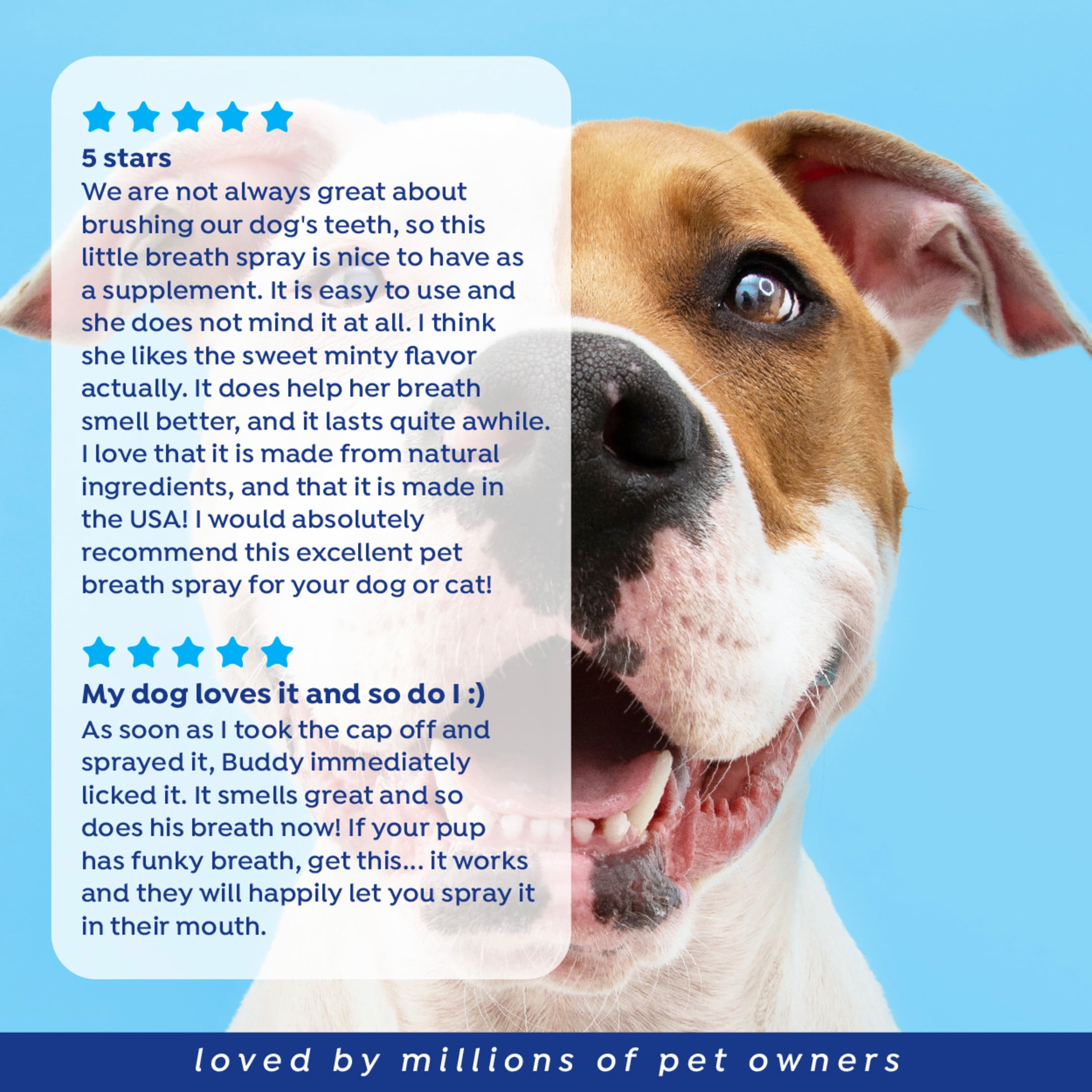 Naturel Promise Fresh Dental Dog Breath Freshener Spray Dogs & Cats, 4 oz Bottle
