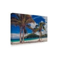 thumbnail image 2 of Trademark Fine Art 'Palm Trees Landscape' Canvas Art by Jason Matias, 2 of 3