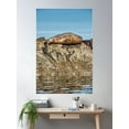 thumbnail image 2 of Sea Lion Chillin' On The Rocks Poster Wall Art, Modern Wall Decor For Living Room Bedroom, 12x18 UNFRAMED, 2 of 3
