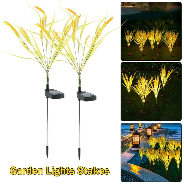 AMERTEER 2 Pack Solar Wheat Lights Garden Lights Stakes Solar Lights