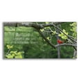 thumbnail image 1 of Epic Art 'Visitor from Heaven' by Lori Deiter Acrylic Glass Wall Art, 48"x24", 1 of 8